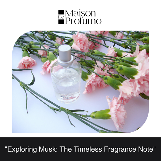 "Exploring Musk: The Timeless Fragrance Note"
