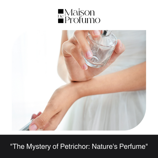 "The Mystery of Petrichor: Nature's Perfume"