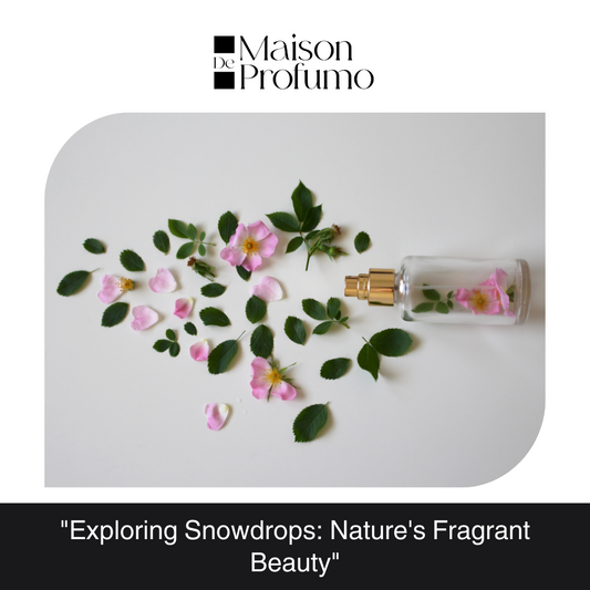 "Exploring Snowdrops: Nature's Fragrant Beauty"
