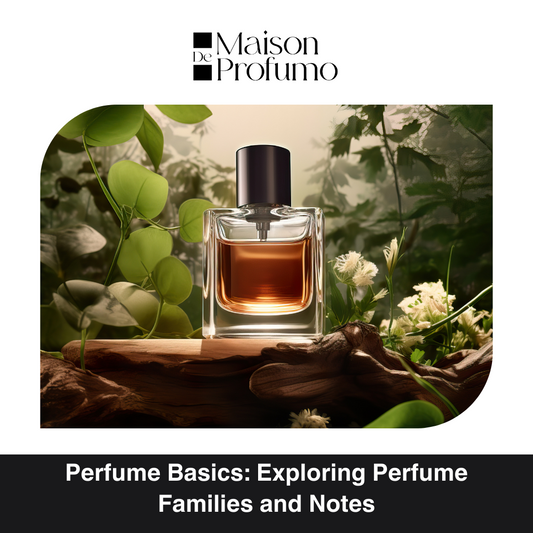 Perfume Basics: Exploring Perfume Families and Notes