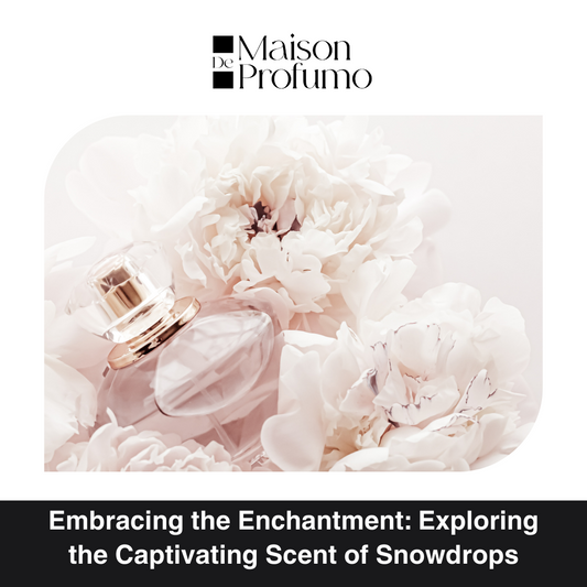 Embracing the Enchantment: Exploring the Captivating Scent of Snowdrops