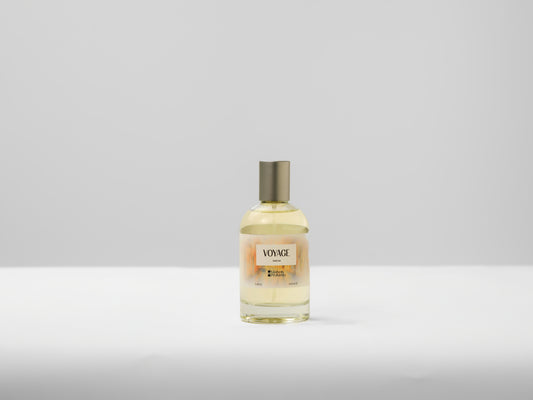 Voyage by Maison De Profumo : The Bold Expedition | 100 ML | Unisex