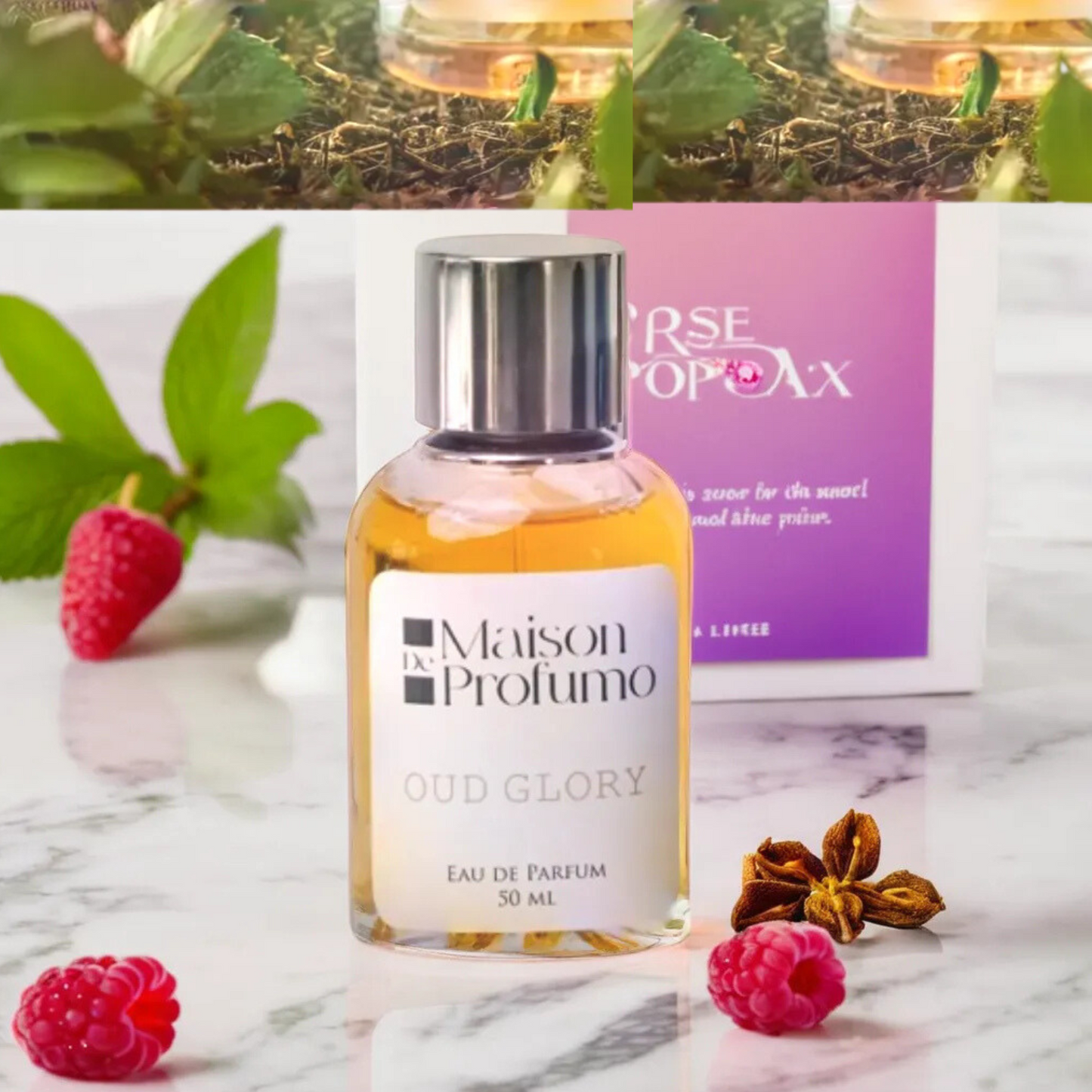 Oud Glory by Maison de Profumo : Unisex Eau De Parfum | 50 ML