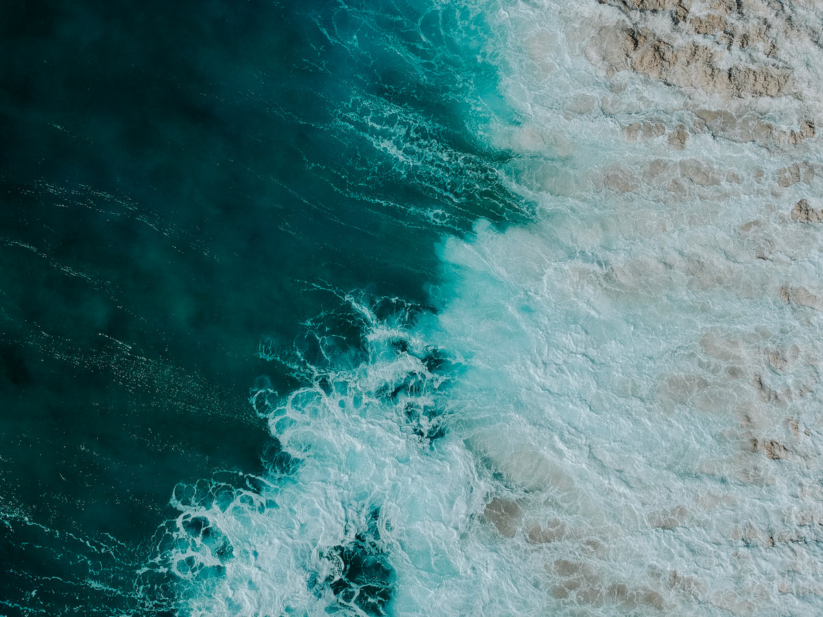 Aquatic